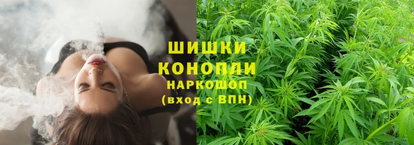 эйфоретик Верея