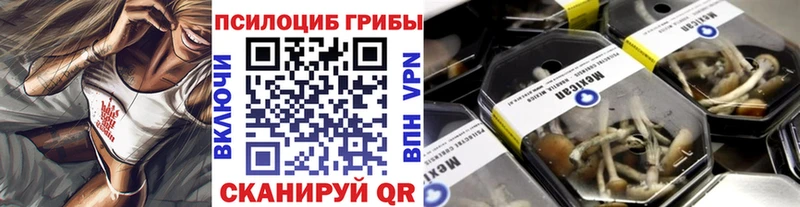 Галлюциногенные грибы Cubensis  Берёзовский 